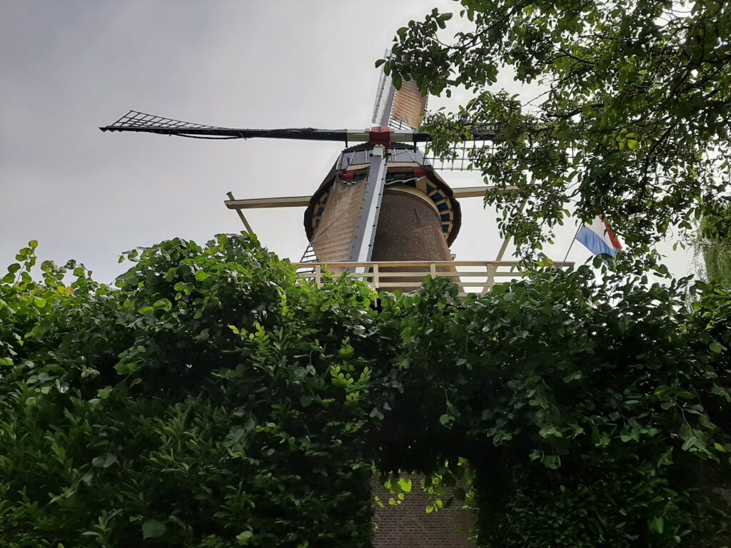tn_20260531_130354